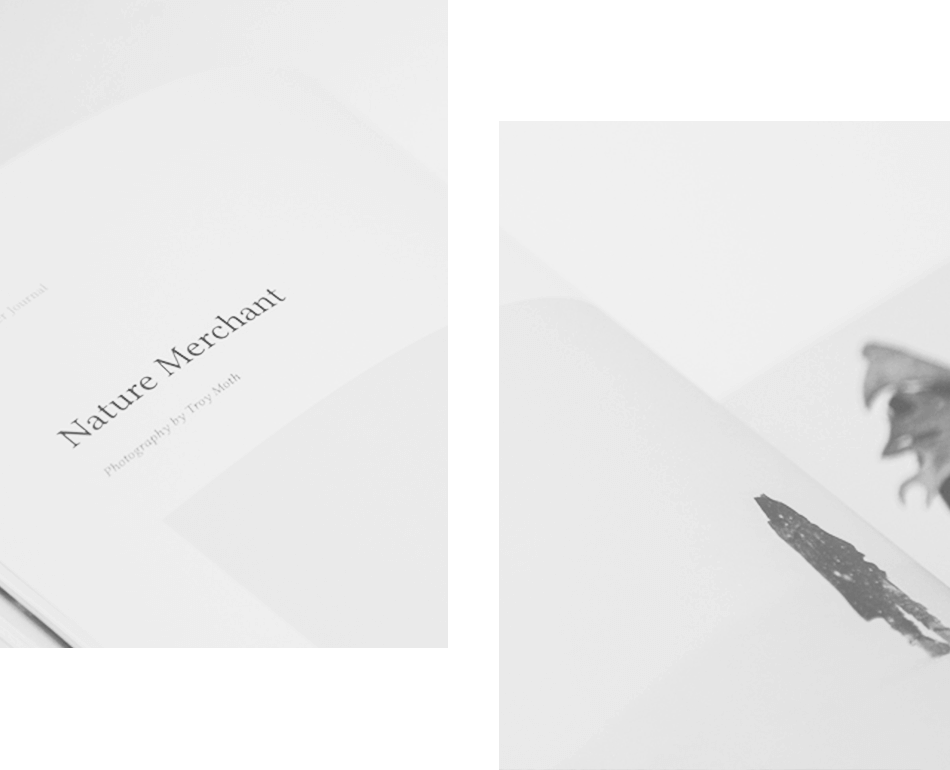 About us – Ramy Salah Branding